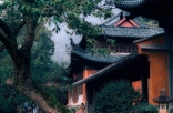 人少景美的宝藏避暑小城——天台 山野间均温26℃