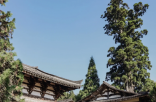 江南这座古城把建筑之美 森系自然玩得透透的…